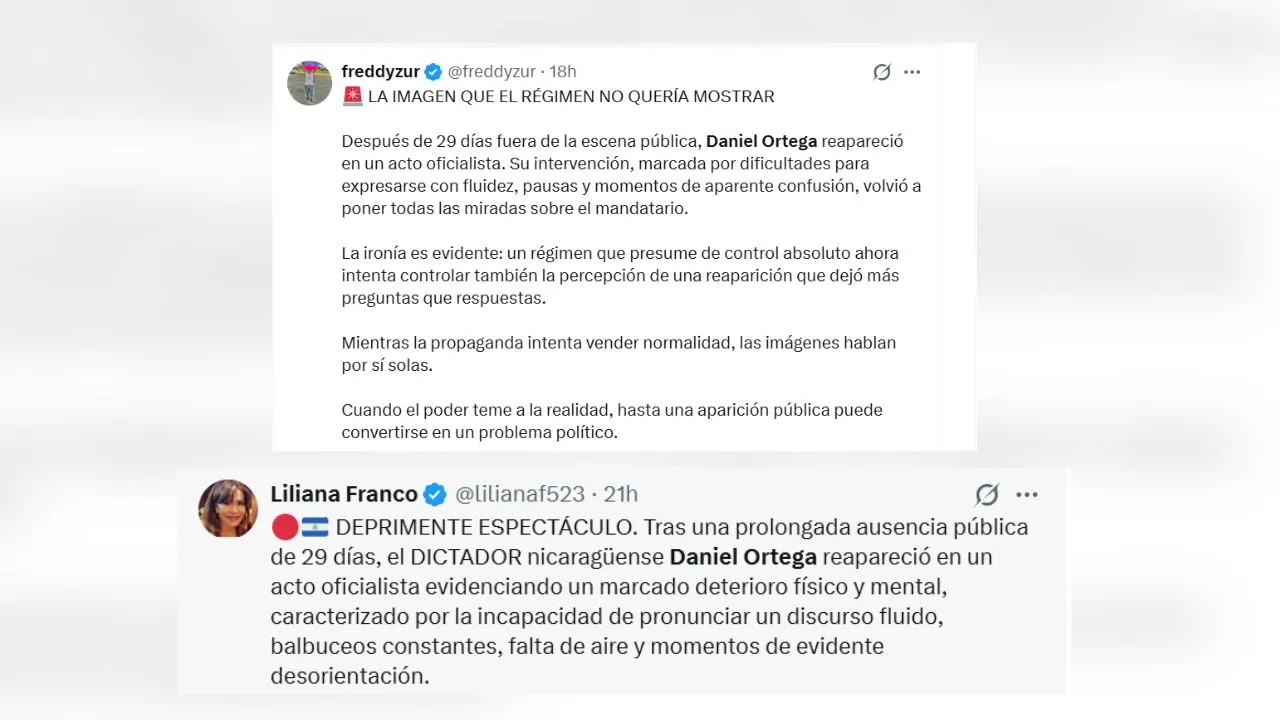 imagen dada